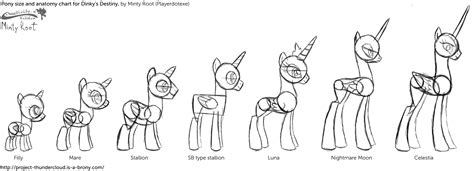 Minty Root's pony size and anatomy chart (v1) | My little pony drawing, Pony, Pony drawing