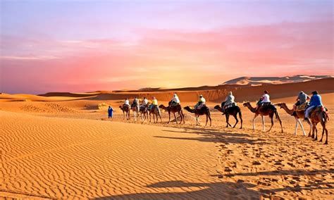 8 days camel trekking in morocco & sahara desert tour - Morocco ...