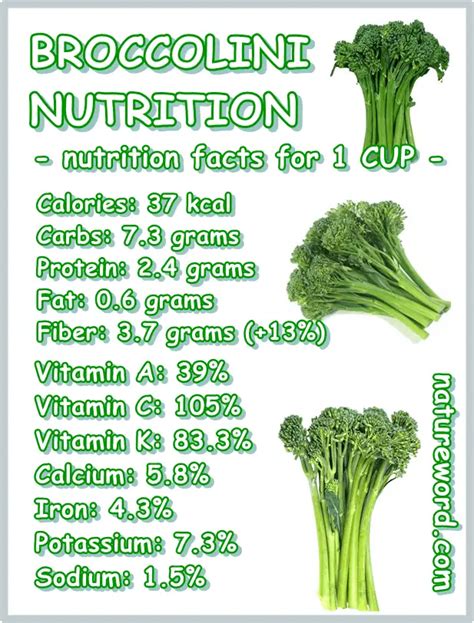 Broccolini: Calories and Nutrition Facts for 1 Cup - NatureWord