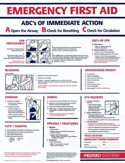 Free Basic First Aid Pocket Guide Printable Red Cross - NewFreePrintable.net