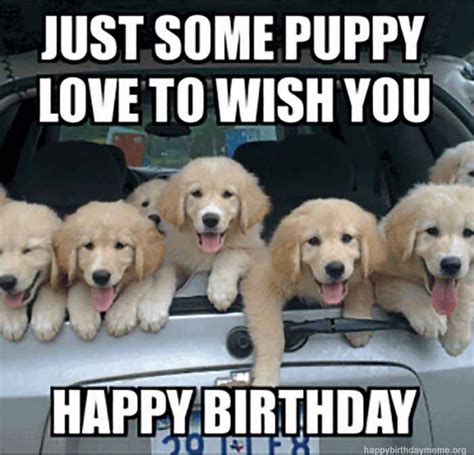 101 Funny Happy Birthday Dog Memes for Paw Lovers Everywhere | Happy birthday dog meme, Happy ...