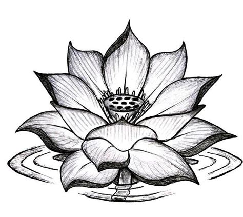 Black Ink Lotus Flower Tattoo Sample | Tattoobite.com | Lotus flower tattoo design, Lotus tattoo ...