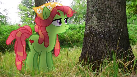 [MLP en vrai] Tree Hugger by VBASTV on DeviantArt