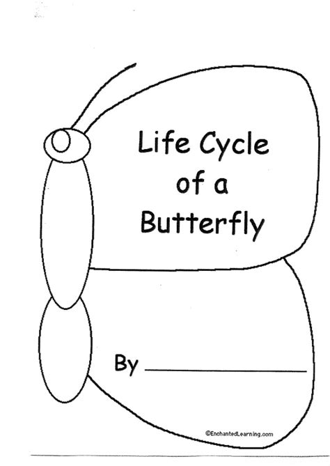 LIFE CYCLE OF A BUTTERFLY BOOK | learningenglish-esl