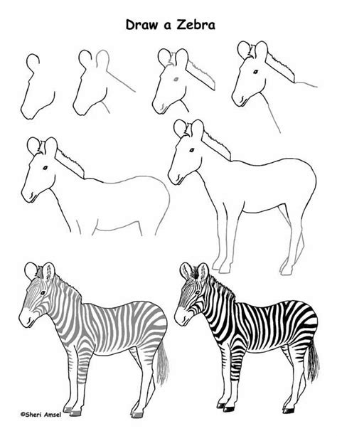 Zebra step by step drawing | Zebra drawing, Animal drawings, Animal drawings sketches