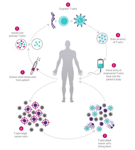 Why Cancer Immunotherapy | Parker Institute for Cancer Immunotherapy