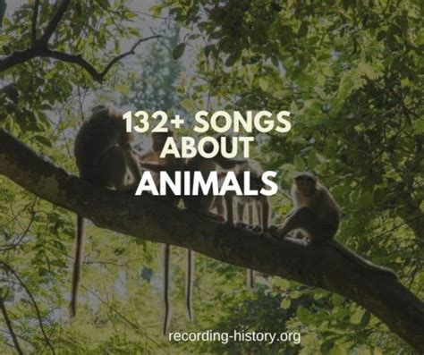 132+ Best Songs About Animals - Song Lyrics & Facts