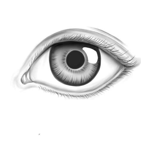 Realistic Eye by Appletumble on deviantART | Eye drawing, Realistic eye, Eye illustration