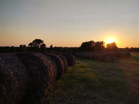 Richardson Farms | Where the City meets the Farm