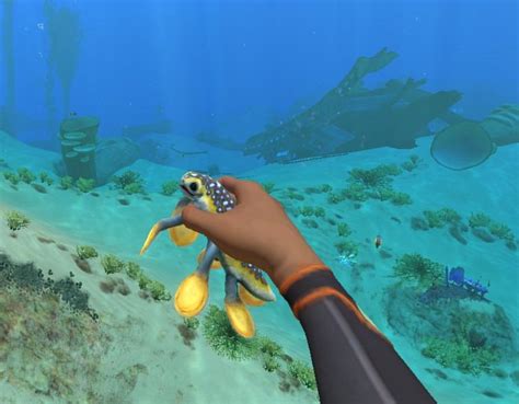 cutest fish in the sea : subnautica