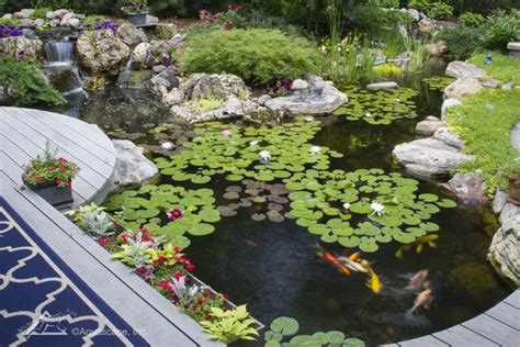 What Is A Koi Pond And How To Build Your Own (Best Setup, 56% OFF