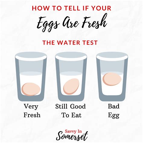 How To Test Eggs For Freshness | Check eggs for freshness, Egg test for ...