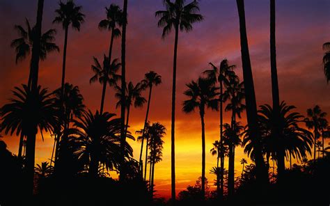 Hotel California Wallpapers - Top Free Hotel California Backgrounds - WallpaperAccess