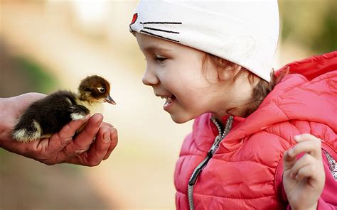 4 Things Kids Can Learn From Interacting With Animals - The Art Farm NYC