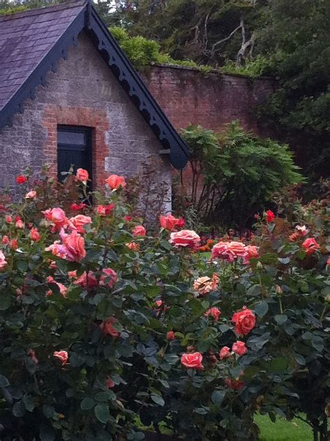 Garden at Dromoland Castle. | Ireland cottage, Beautiful gardens, Dream ...