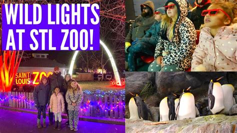 Wild Lights at the St. Louis Zoo!! #stlouis - YouTube