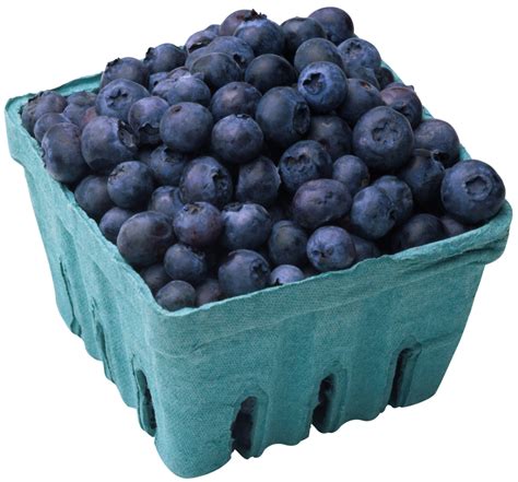5 Proven Benefits Of Blueberries | Di Nutrition