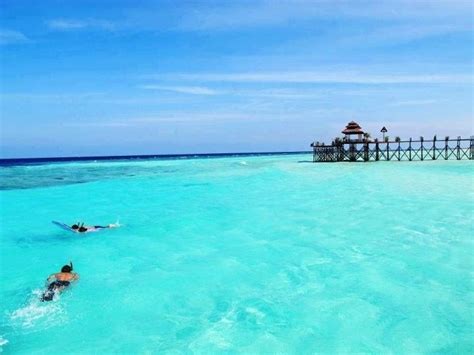 7 Aktivitas Seru Yang Bisa Kamu Lakukan di Kepulauan Derawan. Yakin Deh ...