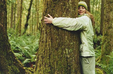 Forest Bathing, People Tree, Les Sentiments, Tree Hugger, Pose Reference Photo, Human Nature ...