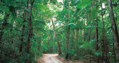 3 Day Fraser Island (Rainbow Beach)