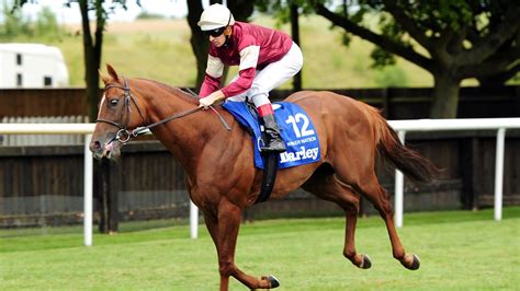 Hugh Bowman, el el mejor jinete del mundo - Carreras de Caballos ...