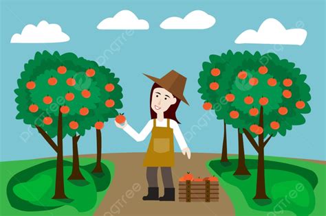 Orange Farm Vector Hd Images, Female Farmer Harvesting Orange With Wooden Crate In Oranges Farm ...