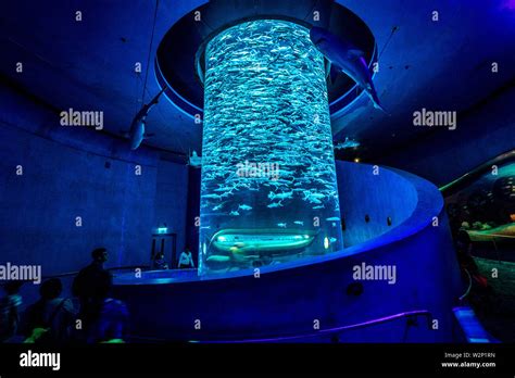 Hong Kong, China - Giant fish tank in Ocean Park aquarium Stock Photo ...