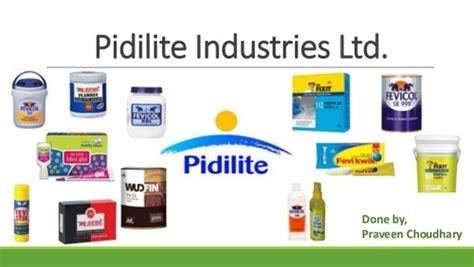 Pidilite Products - Pidilite Products buyers, suppliers, importers, exporters and manufacturers ...