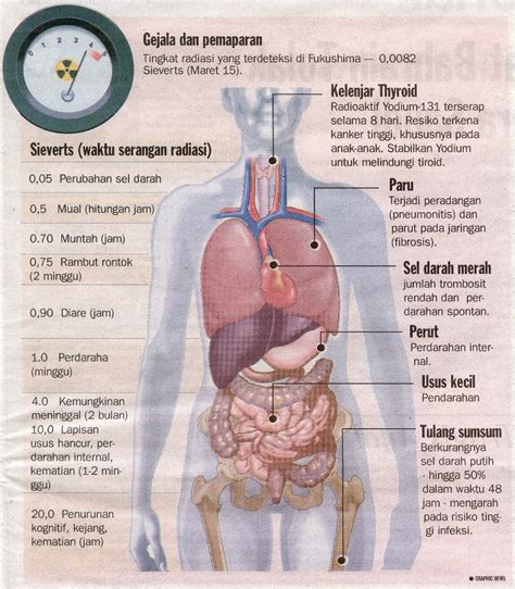 Education Sun: Bencana Nuklir : Dampak Negatif Radiasi Bagi Manusia