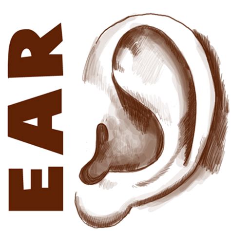 How to Draw Ears Side View with Easy Steps Lesson - How to Draw Step by ...