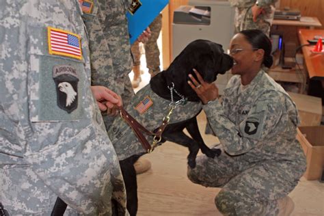 DVIDS - News - Combat stress dog puts Bastogne Soldiers 'At Ease'