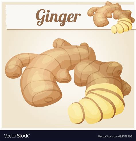 Ginger root cartoon icon Royalty Free Vector Image | Cartoon icons ...