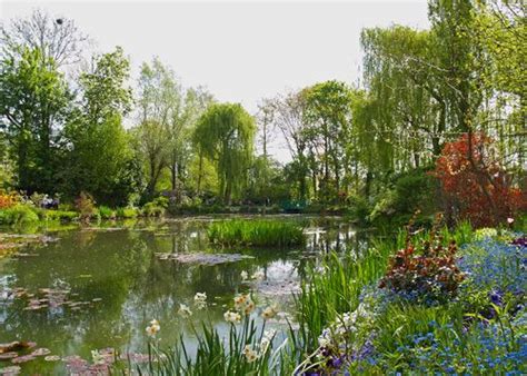 Water-Garden 1 Giverny Art Print by Alex Cassels Easyart.com | Monet, Claude monet, Water garden