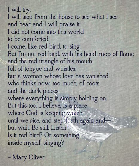 "I did not come into this world to be comforted. I come, like red bird , to sing ... I will try ...