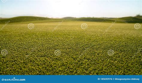 Green Short Grass Lawn, Fresh Cutting Lawn-mower Stock Photo - Image of nature, park: 185692976