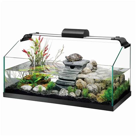 Best Turtle Tank Setup: The Definitive Guide - Expert Aquarist