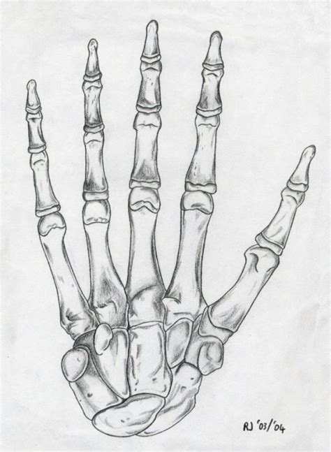 Skeleton hand drawing. Skeleton Drawings, Pencil Art Drawings, Art ...