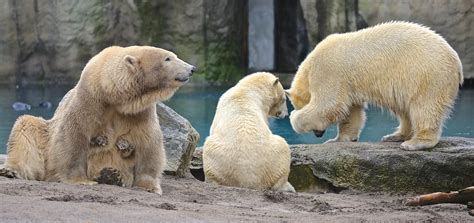 Rotterdam Zoo