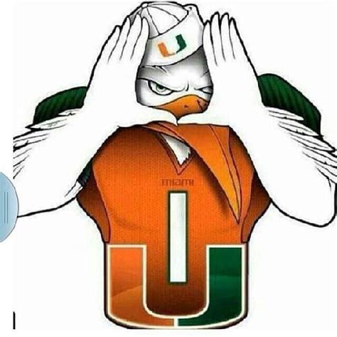 Where U at? | Miami hurricanes football, University of miami hurricanes ...