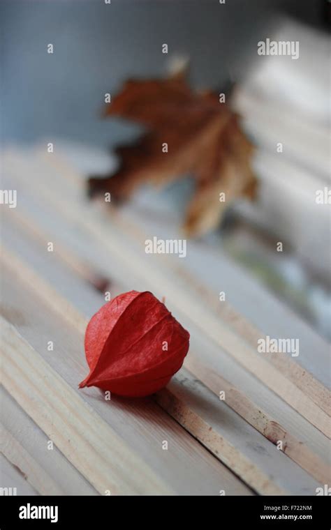 autumn still life Stock Photo - Alamy