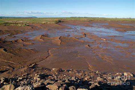 Mud Flats Photograph by Steve Horrell/science Photo Library - Fine Art America