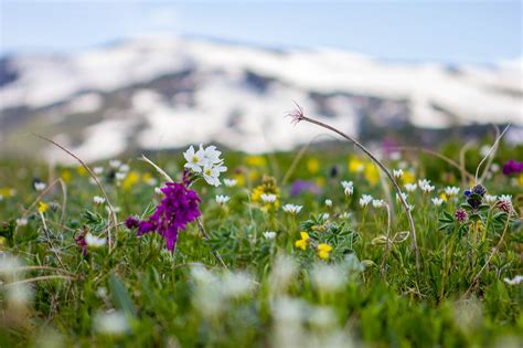 Karakol lakes on Behance