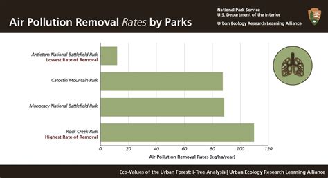 Air Pollution Removal by Urban Forests (U.S. National Park Service)