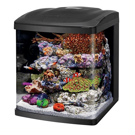 10 Best Small Saltwater Fish Tanks - aquariumdimensions