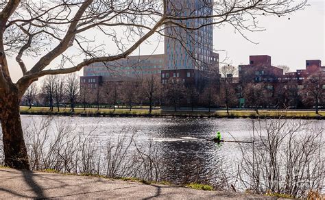 Charles River kayaking Photograph by Claudia M Photography | Fine Art America