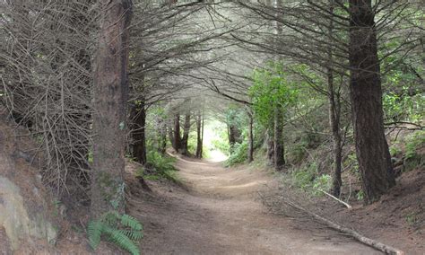 Hiking - AT SOBO - Old Forge, PA to Pen Mar (featuring trail magic ...