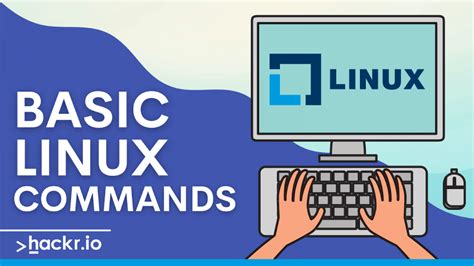 Top 25 Basic Linux Commands for Beginners [Recommended]