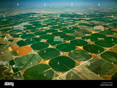 Landwirtschaft - Luftbild von Mitte Drehpunkt bewässert kreisförmige ...