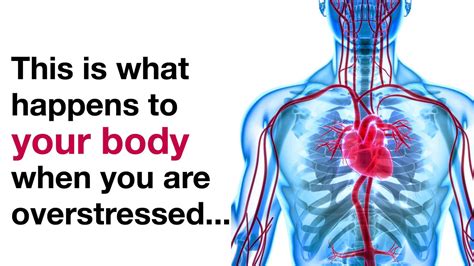 Scientists Explain 8 Things That Happen To Your Body When You're ...