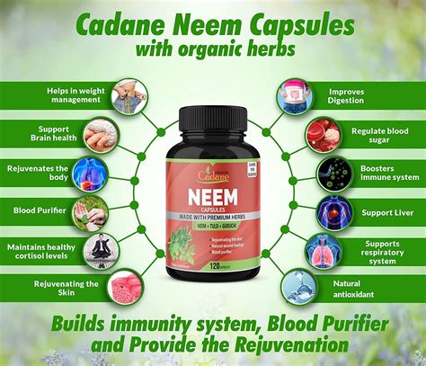 Neem Leaves Powder 2250mg with Tulsi, Guduchi ,120 Capsules | Support ...